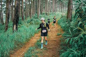 BIB: 
                            <button type="button" onclick="openModal(25655648)" class="btn btn-primary btn-sm float-right btn-popup" data-toggle="modal" data-target=".modal-high-quality">
                        <i class="fas fa-shopping-cart"></i> Add to Cart
                    </button>
                                            <button type="button" onclick="isThisMe(25655648, true)" class="btn btn-success btn-sm float-right btn-popup btn-isme hidden" data-toggle="tooltip" data-placement="bottom" title="นี่คือรูปของคุณใช่ไหม คลิกที่นี่เพื่อเอาเข้าอัลบั้ม">
                        <i class="fas fa-plus"></i> Add to album
                    </button>
                    <button type="button" onclick="isThisMe(25655648, false)" class="btn btn-warning btn-sm float-right btn-popup btn-isnotme hidden">
                        <i class="fas fa-ban"></i> Remove from album
                    </button>